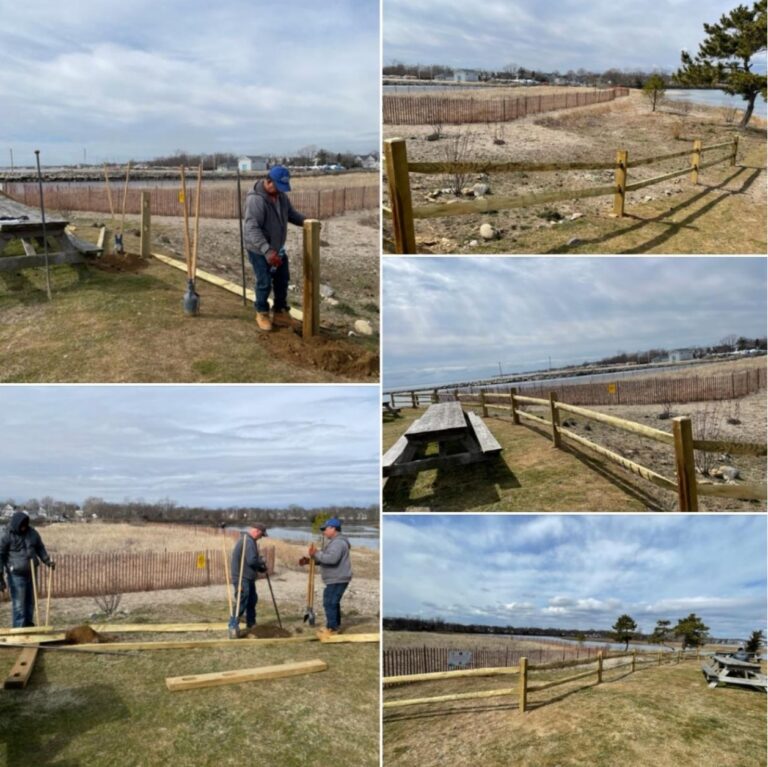 Fence to Protect Spring Plantings 2023